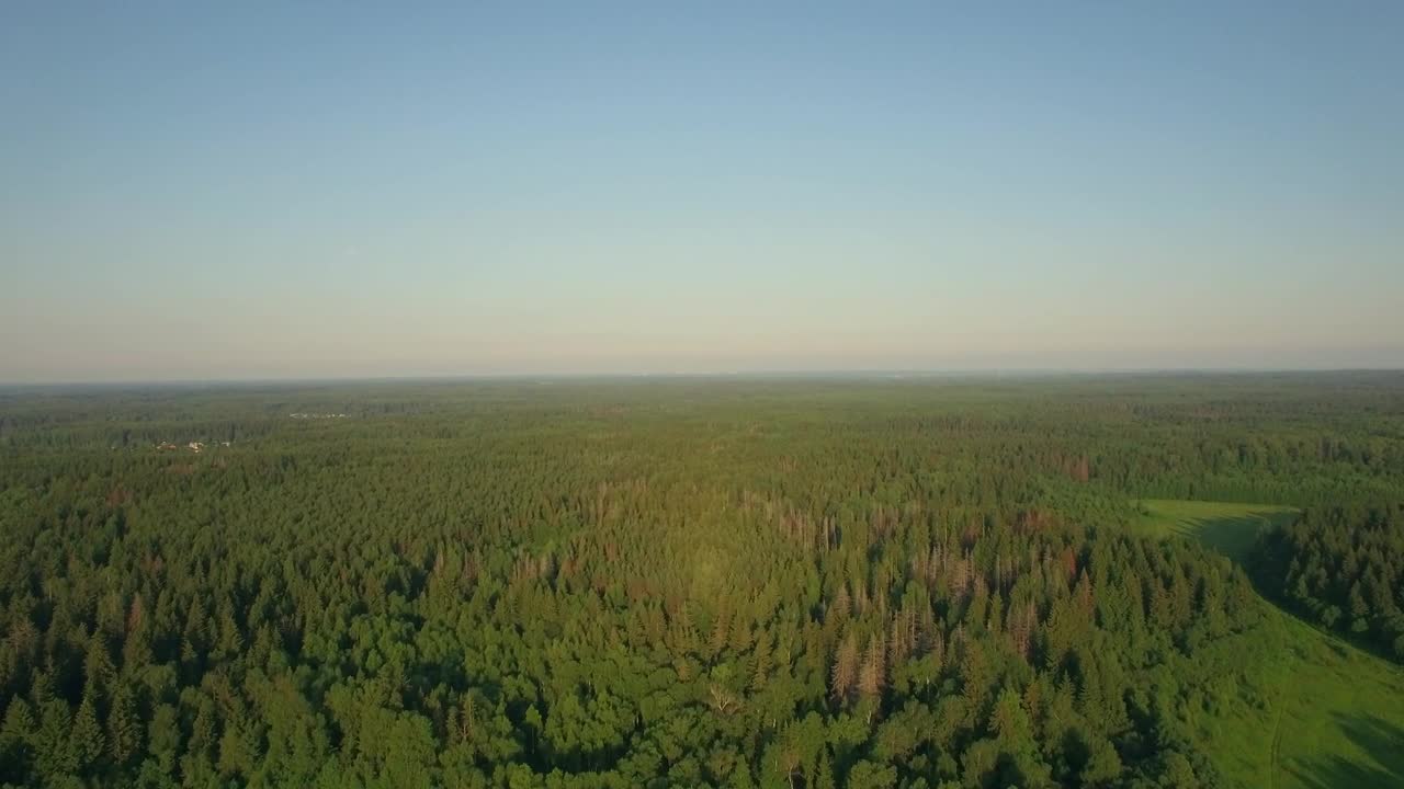   Stock Footage Vast Woodland In Russia Live Wallpaper