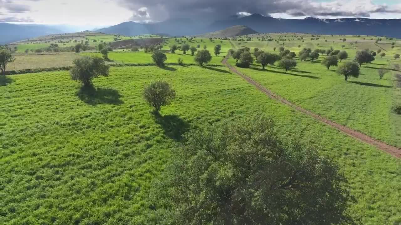   Stock Footage Vast Agricultural Green Fields In The Mountain Live Wallpaper