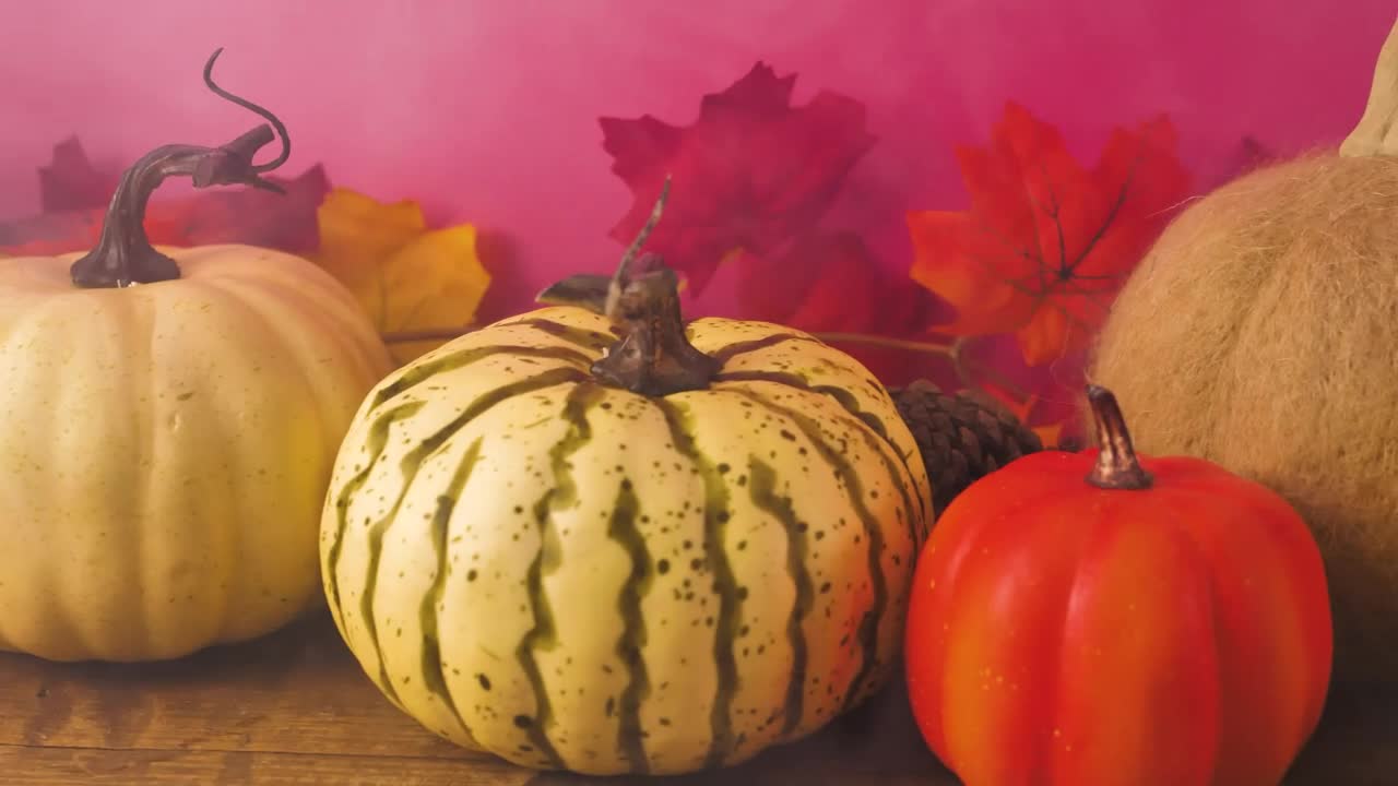   Stock Footage Variety Of Halloween Pumpkins Live Wallpaper