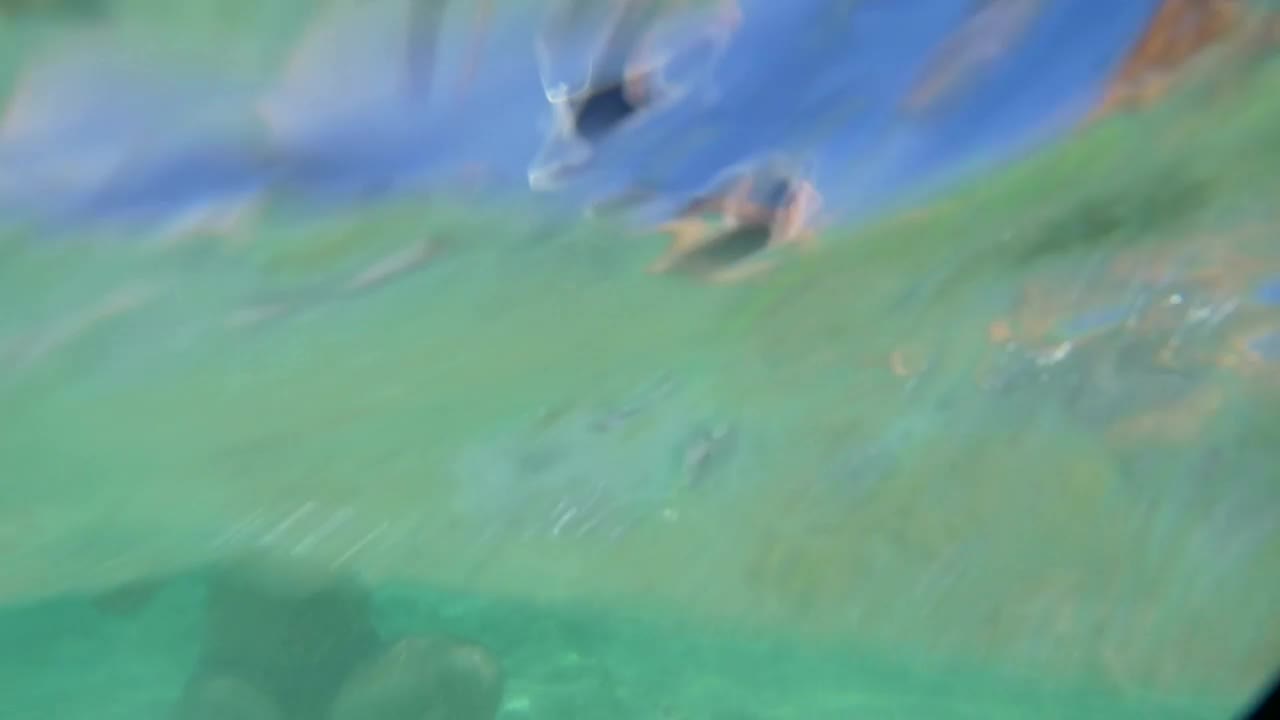   Stock Footage Using A Tablet Out In The Ocean Live Wallpaper
