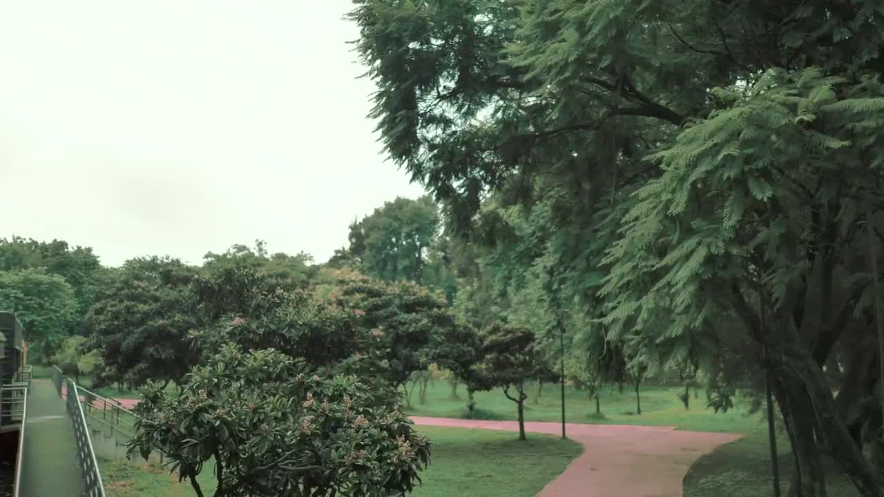   Stock Footage Urban Trendy Woman On A Train Carriage Live Wallpaper