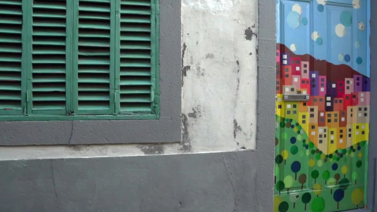   Stock Footage Urban Art On The Doors Of The Houses Live Wallpaper