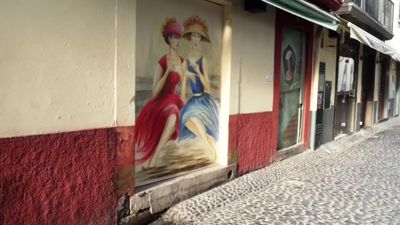   Stock Footage Urban Art Of Portrait Paintings Live Wallpaper