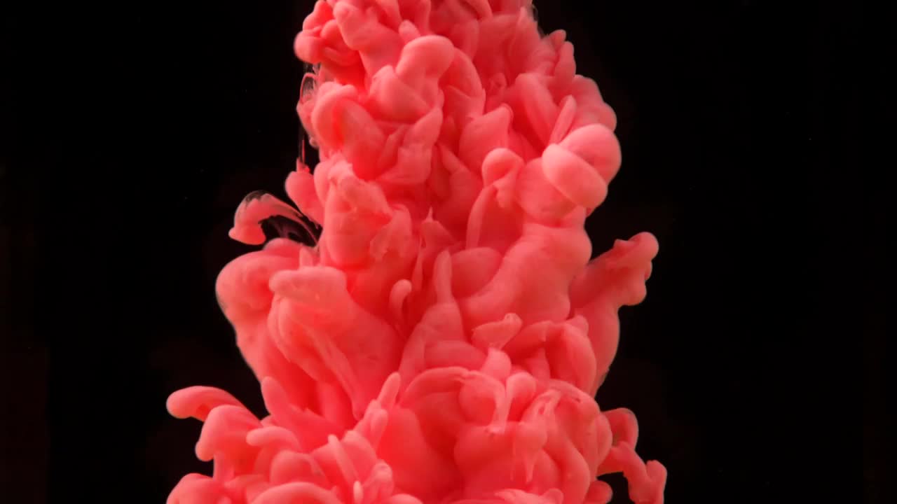   Stock Footage Underwater Pink Ink Shot Live Wallpaper