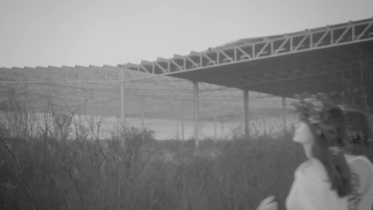   Stock Footage Two Women Walking In An Abandoned Area Live Wallpaper