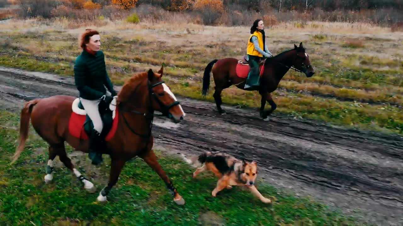   Stock Footage Two Women Galloping In The Field Live Wallpaper