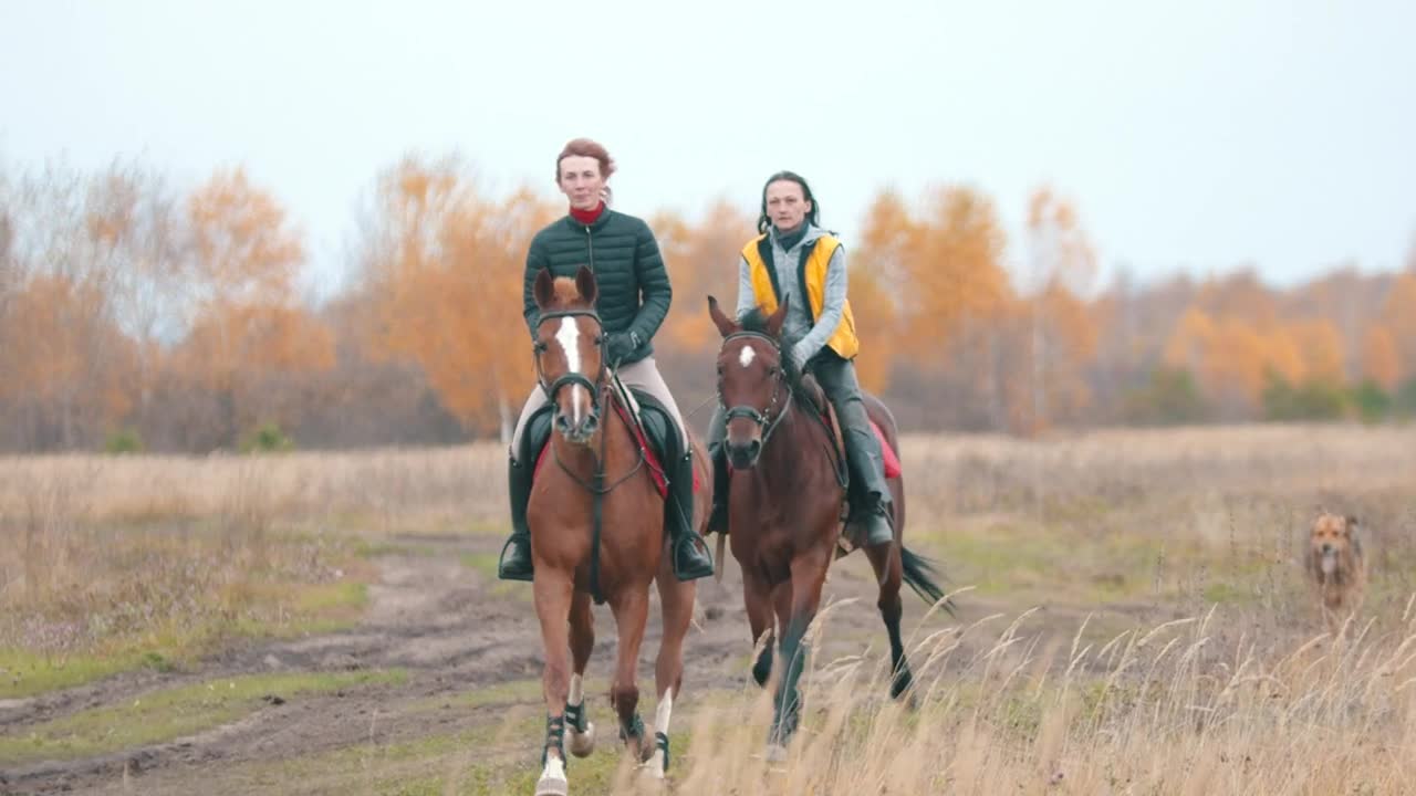   Stock Footage Two Women Are Galloping On The Field Live Wallpaper