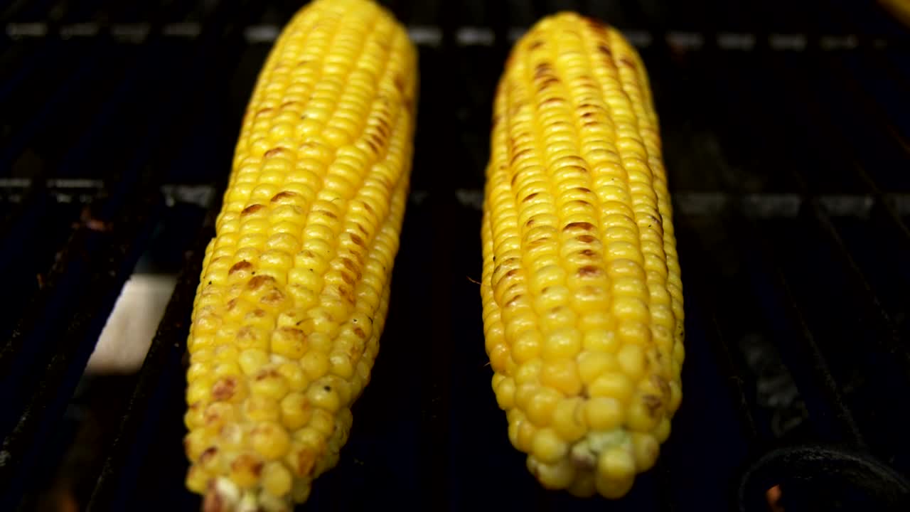   Stock Footage Two Sticks Of Corn Live Wallpaper