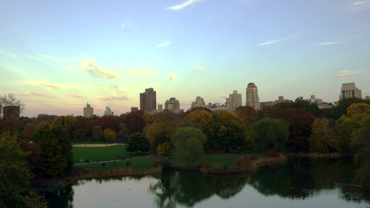   Stock Footage Turtle Pond In The Morning Live Wallpaper