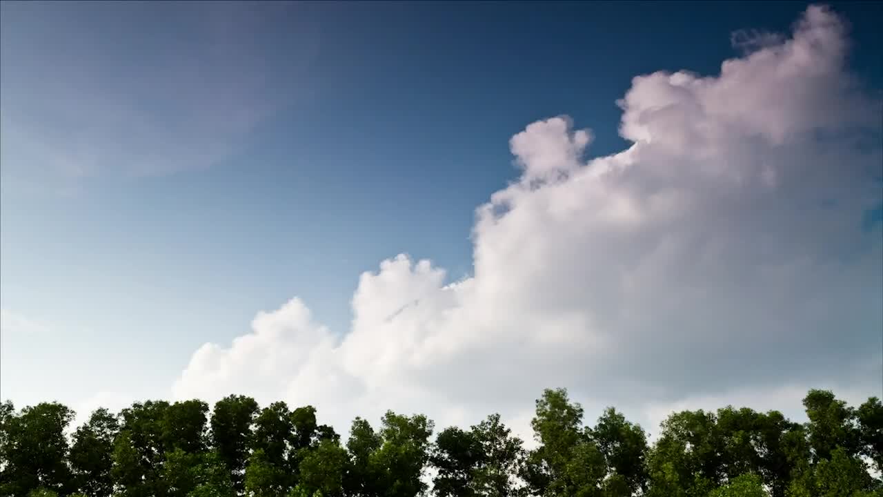   Stock Footage Tropical Trees With A Beautiful Sky Live Wallpaper