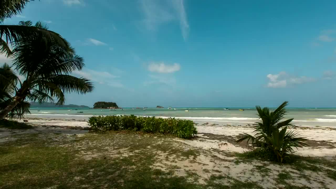   Stock Footage Tropical Tourist Beach Live Wallpaper