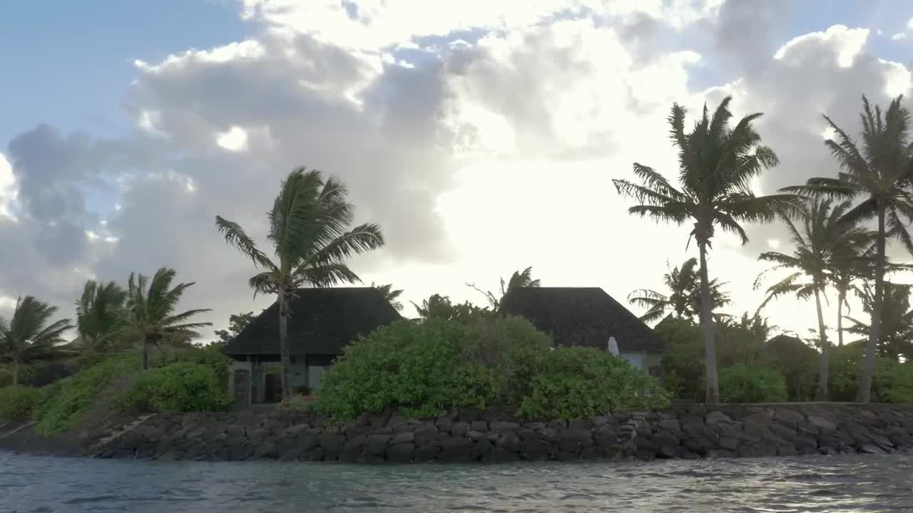   Stock Footage Tropical Plants Around A House Live Wallpaper