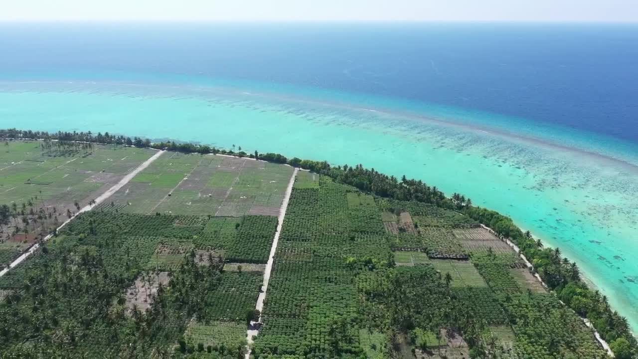   Stock Footage Tropical Island Near A Coral Atoll Reef Live Wallpaper