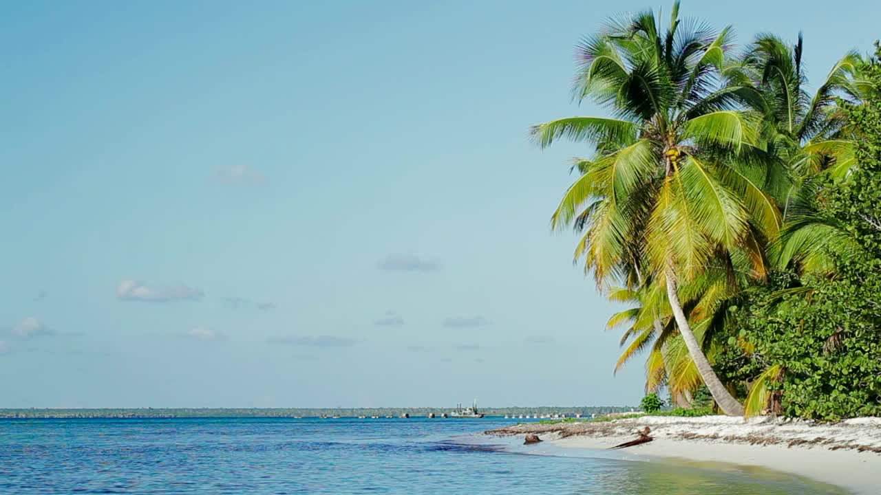   Stock Footage Tropical Coastline With Gentle Ocean Waves Live Wallpaper