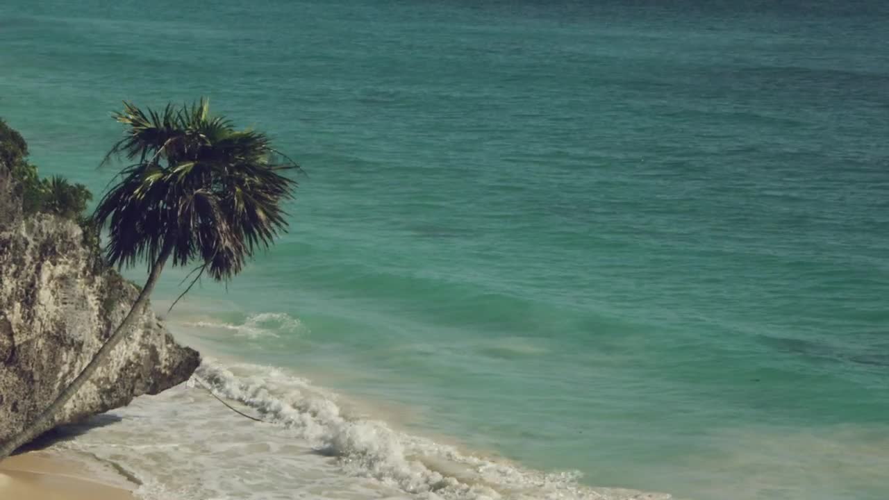   Stock Footage Tropical Beach With Calm Waves Live Wallpaper