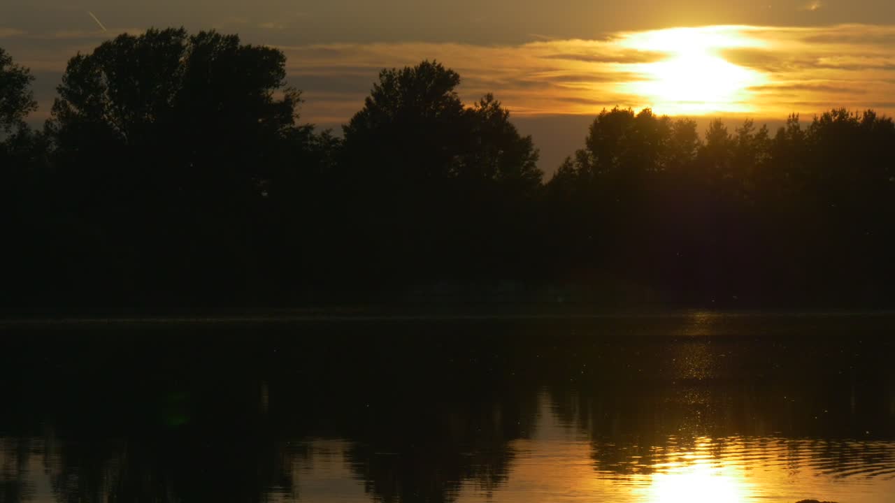   Stock Footage Trees Silhouettes And The Yellow Sunset Live Wallpaper