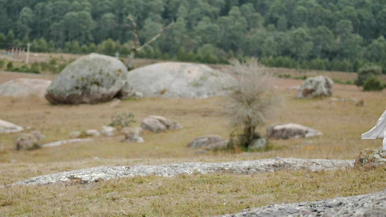   Stock Footage Traveling Woman Enjoying Nature Live Wallpaper