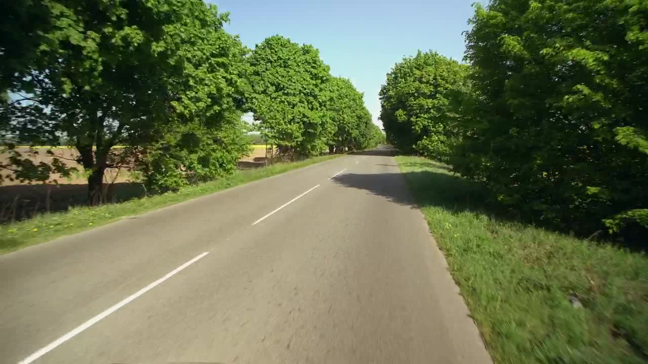   Stock Footage Traveling On An Empty Road Covered In Trees Live Wallpaper