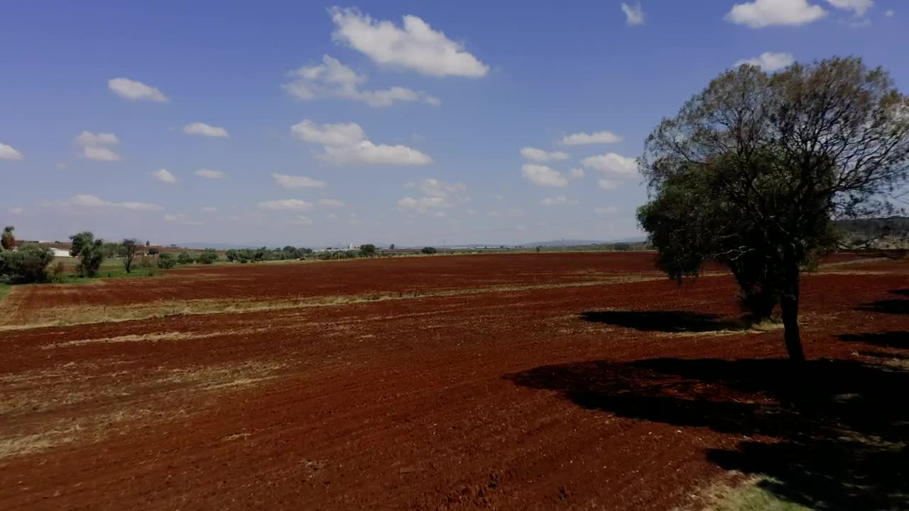   Stock Footage Traveling On Red Ground Live Wallpaper