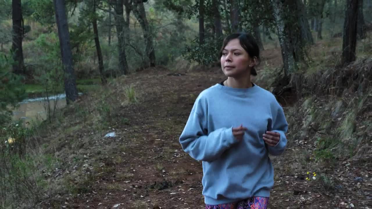 Stock Footage Woman Jogs In The Forest Live Wallpaper Free