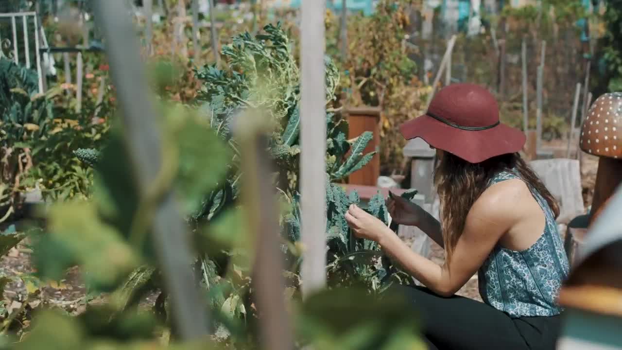 Stock Footage Woman Kneeling In A Garden Live Wallpaper Free