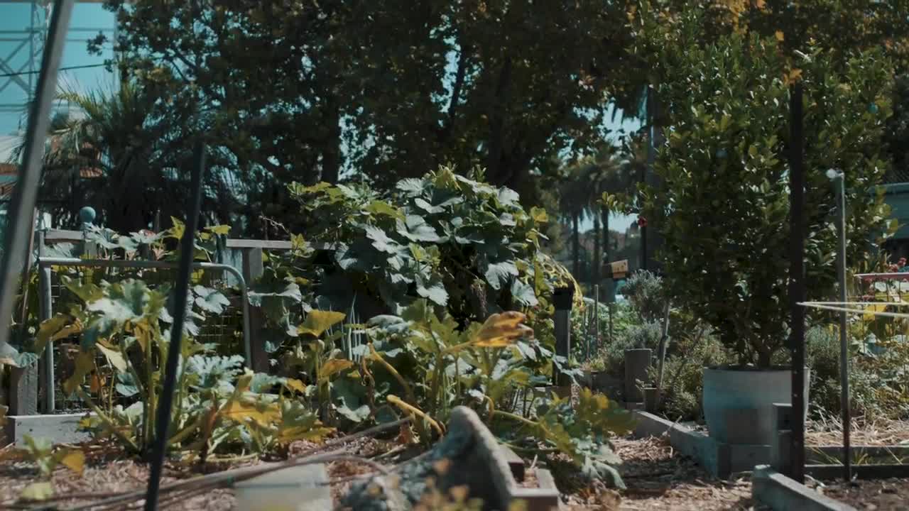 Stock Footage Woman Walks Through A Garden Live Wallpaper Free