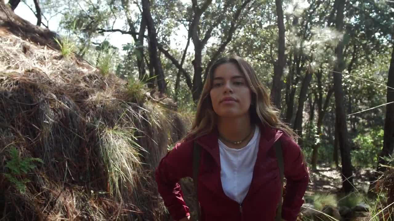 Stock Footage Woman Hiking In The Forest Live Wallpaper Free