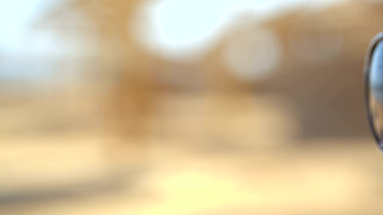 Stock Footage Woman With Wide Sunglasses Live Wallpaper Free