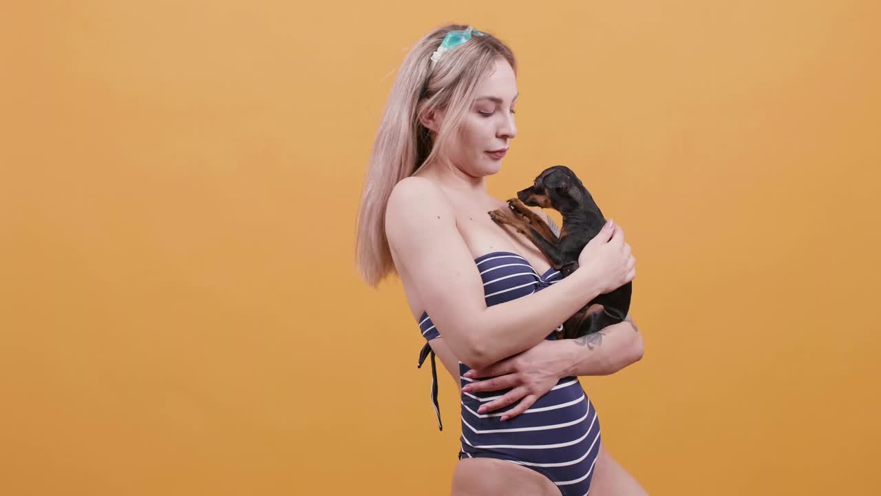 Stock Footage Woman Holding A Chihuahua Live Wallpaper Free