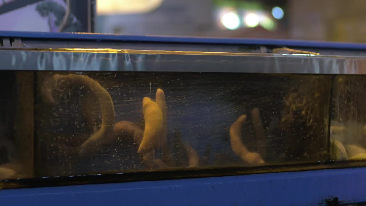 Stock Footage Worms In A Water Tank Live Wallpaper Free