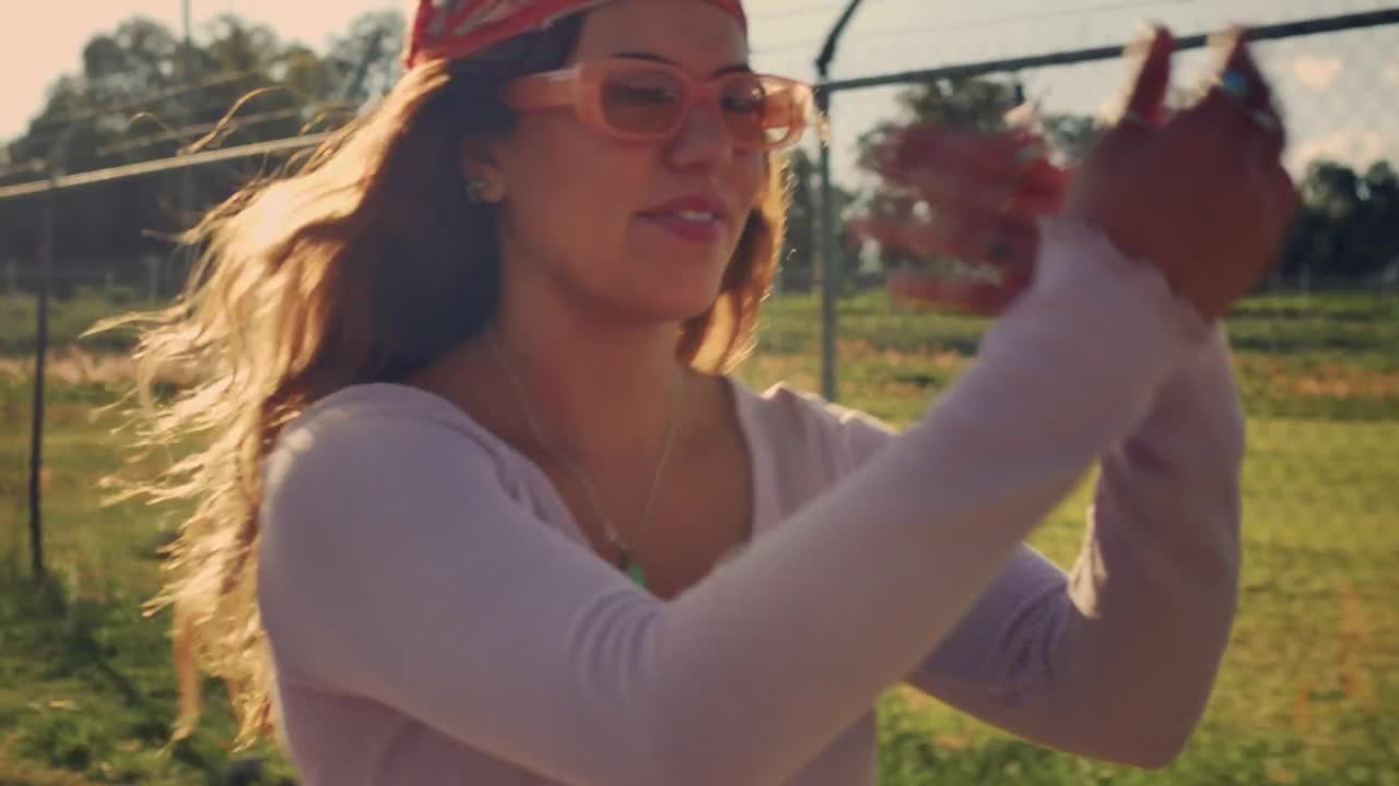 Stock Footage Young Woman Skating Down The Street In Sunset Light Live Wallpaper Free