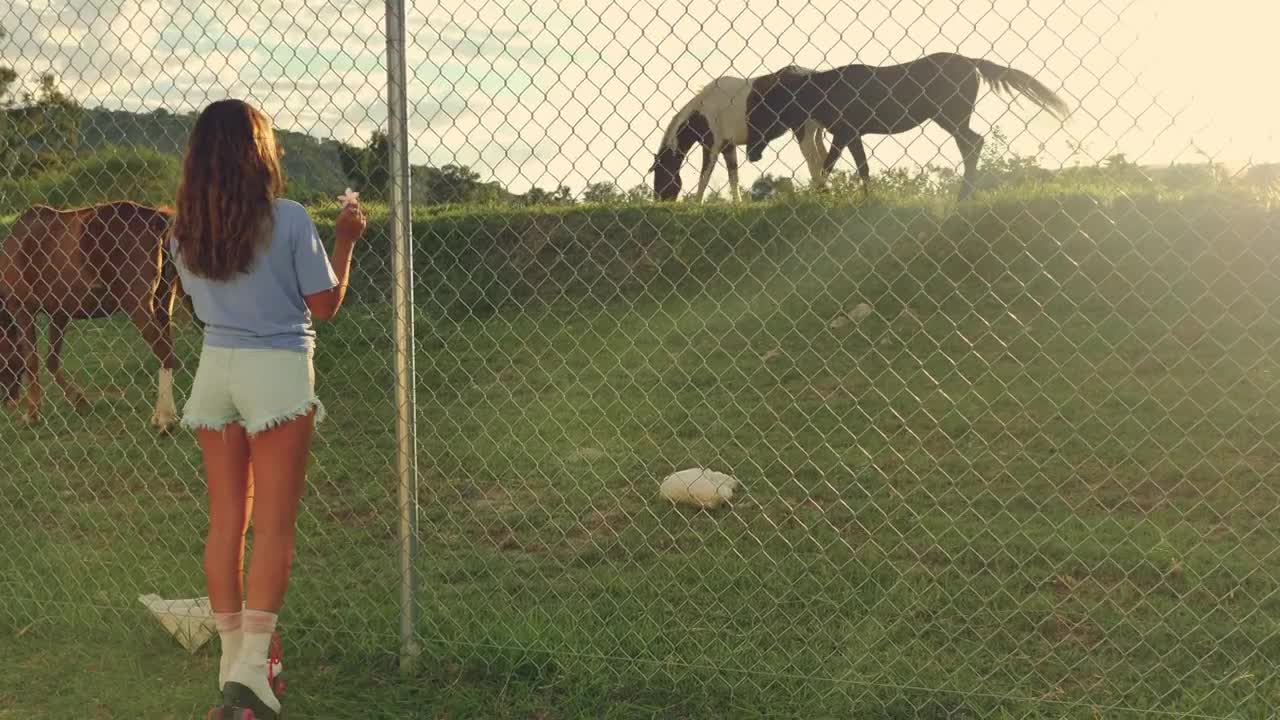 Stock Footage Young Woman Appreciating Horses During A Ride With Roller Skates Live Wallpaper Free