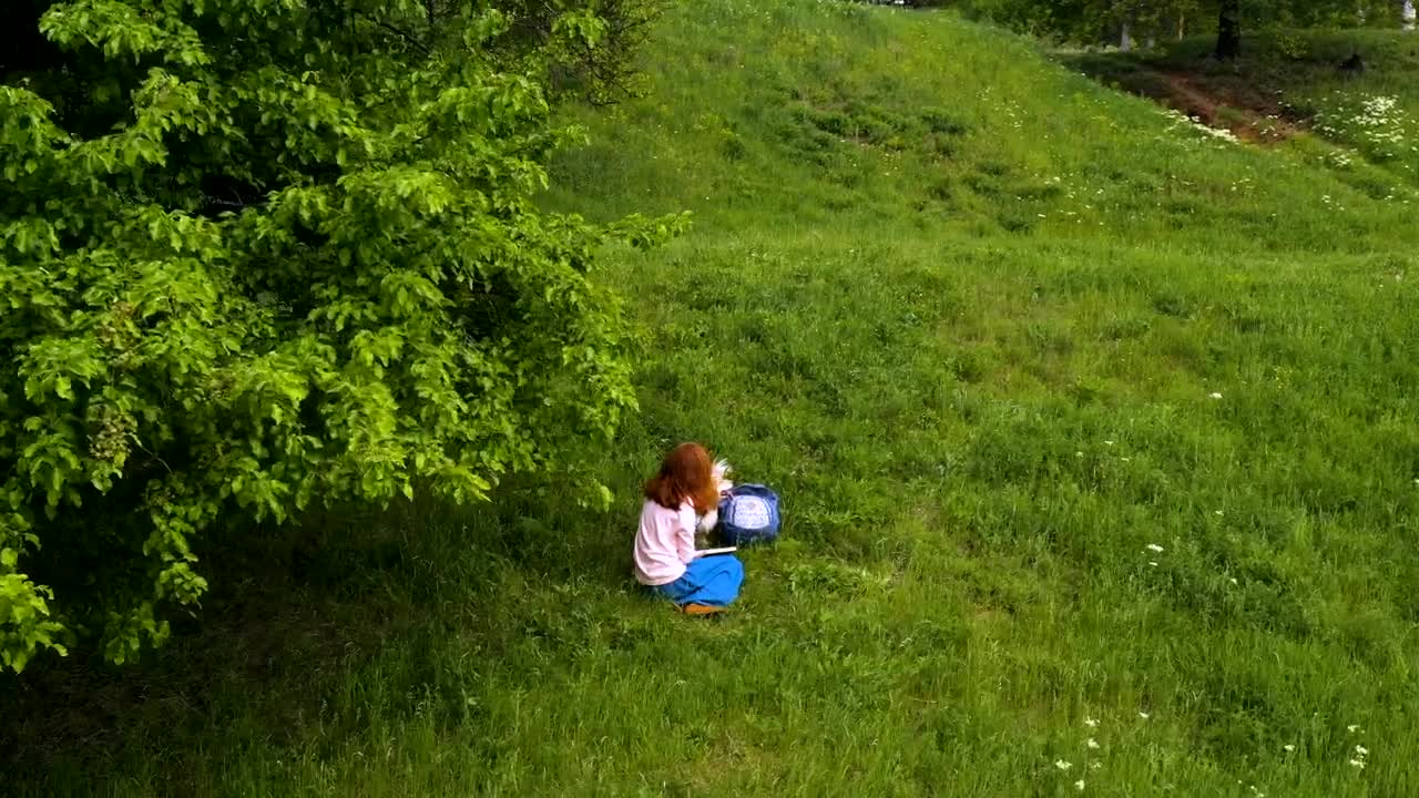 Stock Footage Woman With Corgi Dog In A Green Hill Live Wallpaper Free