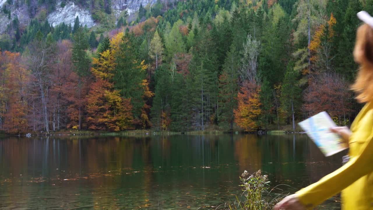 Stock Footage Woman With A Map In In The Forest Landscape Live Wallpaper Free