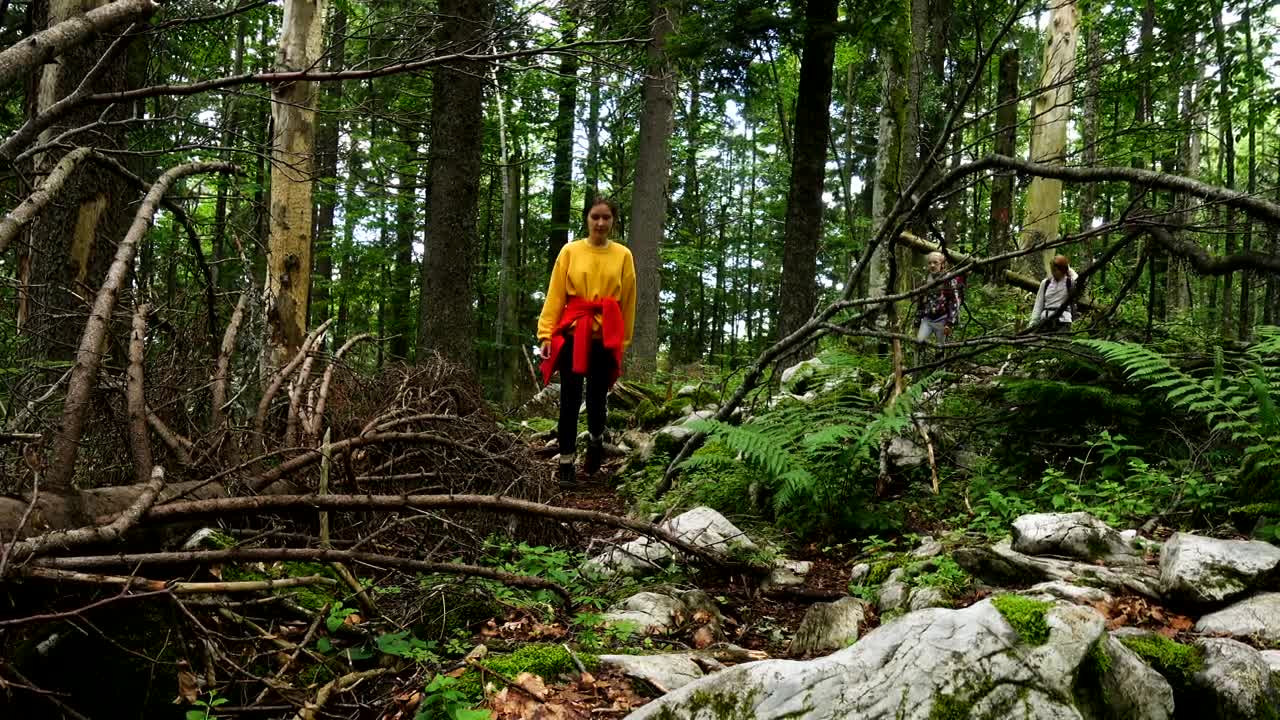 Stock Footage Young Women Hiking Through The Forest Live Wallpaper Free