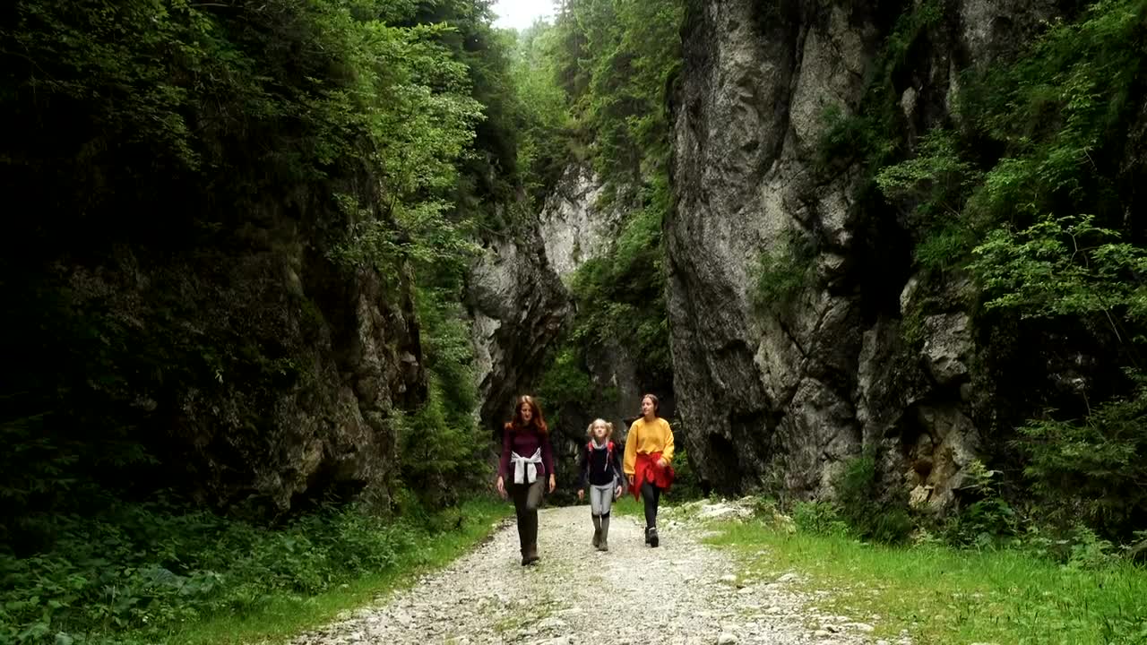 Stock Footage Women Hiking On A Mountain Path Live Wallpaper Free