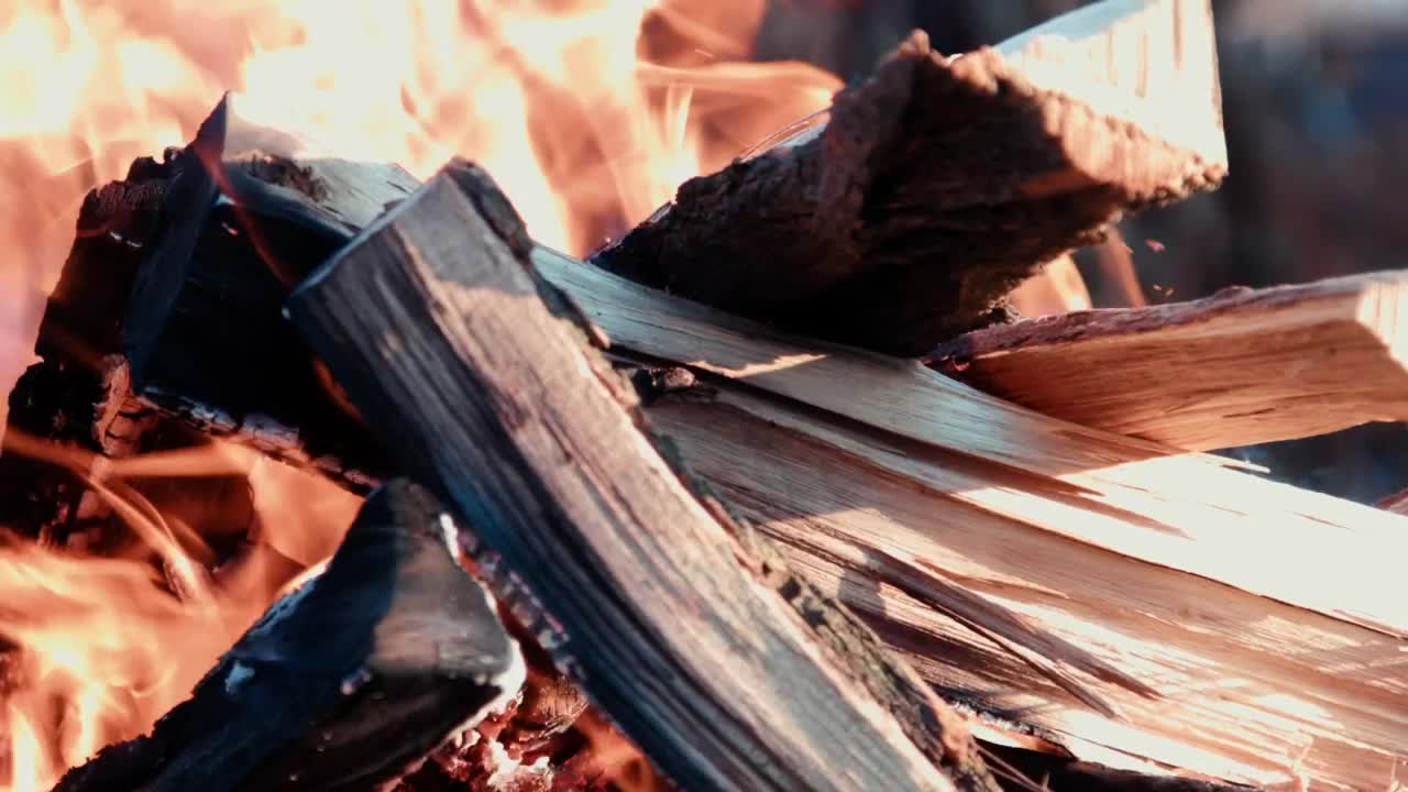 Stock Footage Wood Burning In The Fire Live Wallpaper Free