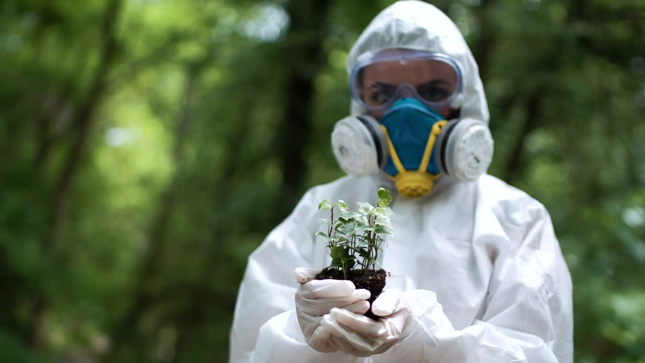 Stock Footage Woman In A Protection Suit Holding A Plant Live Wallpaper Free