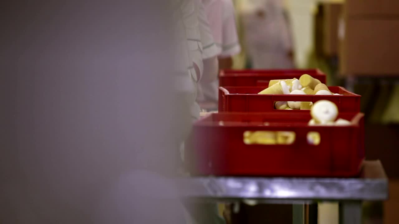 Stock Footage Working In A Food Factory Live Wallpaper Free