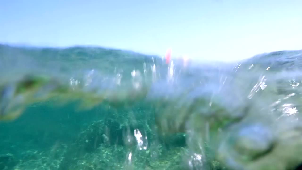 Stock Footage Woman Swimming Over A Reef Live Wallpaper Free