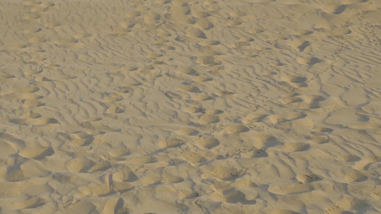 Stock Footage Woman In A Blue Dress Walking On The Sand Live Wallpaper Free