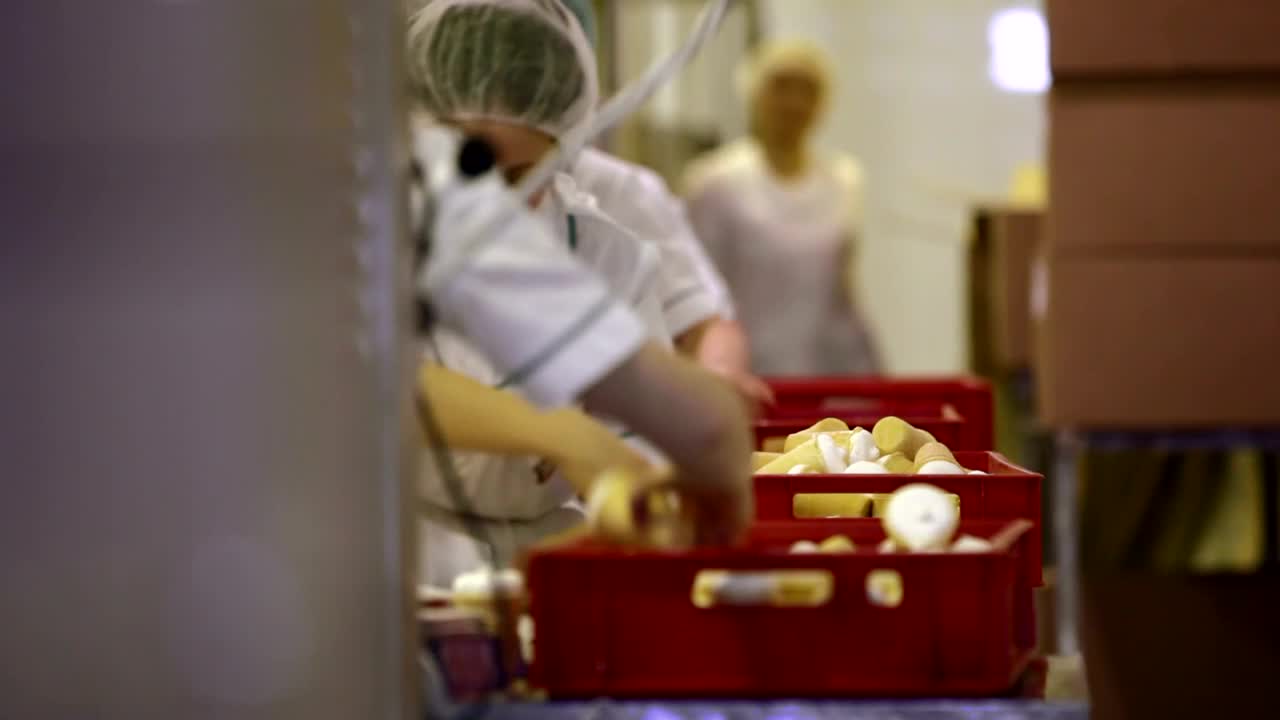 Stock Footage Workers In A Food Factory Live Wallpaper Free