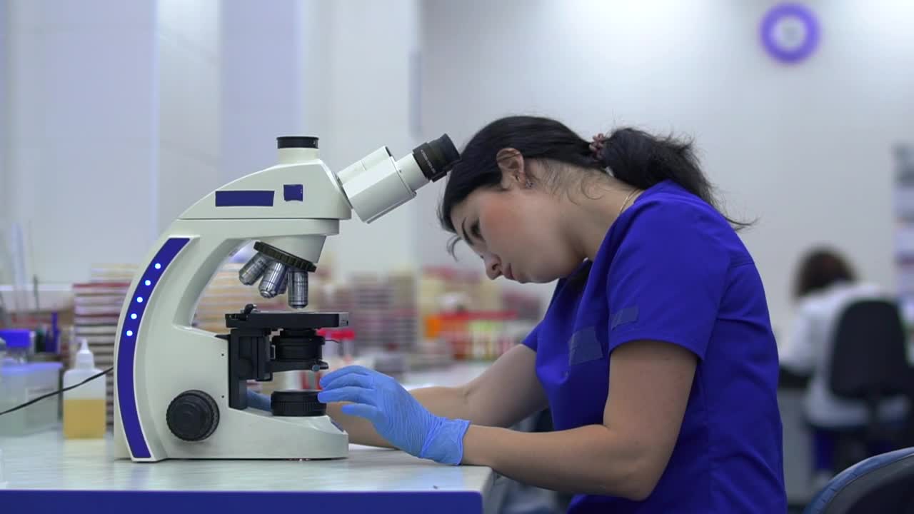 Stock Footage Woman Working With Microorganisms In A Laboratory Live Wallpaper Free