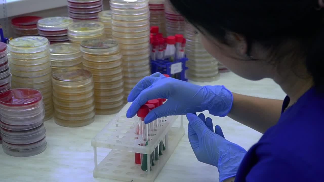 Stock Footage Working With Laboratory Equipment Live Wallpaper Free
