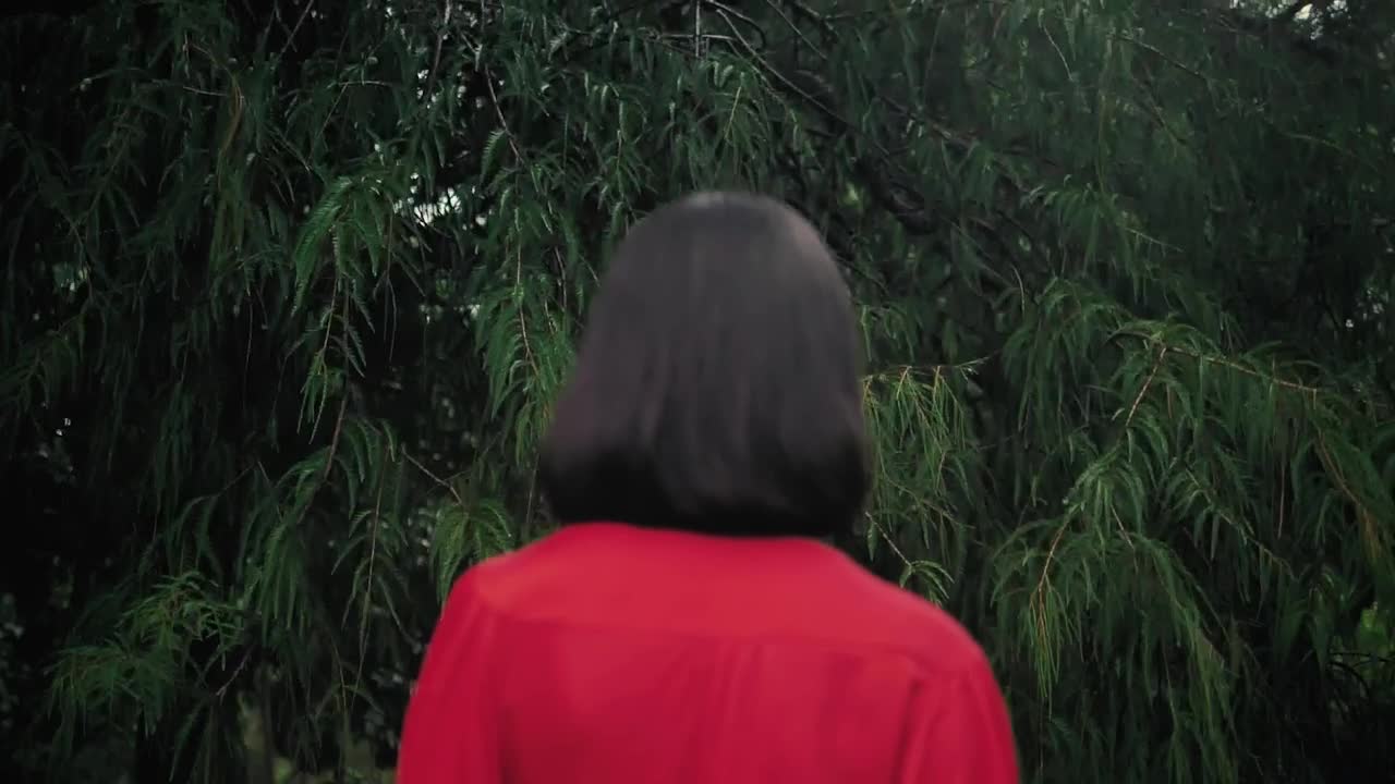 Stock Footage Woman In The Foreground With Her Back Facing Some Trees Live Wallpaper Free