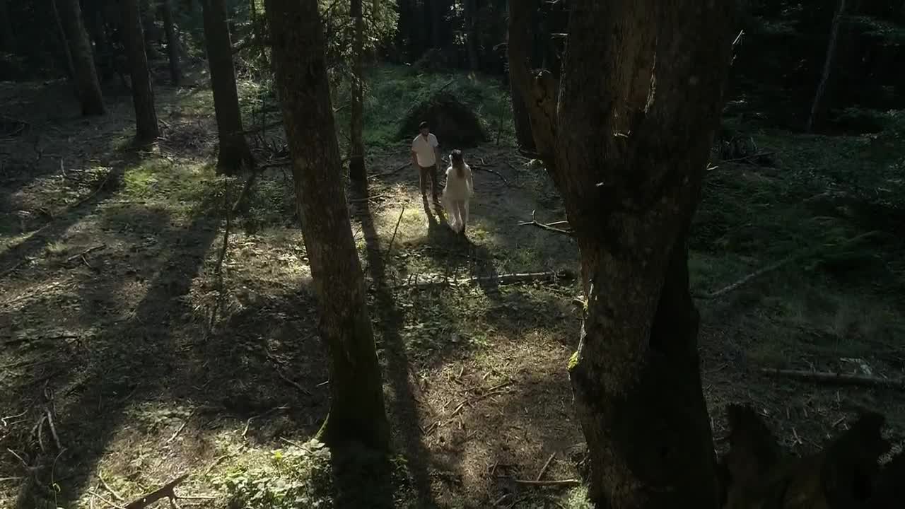 Stock Footage Young Couple In A Warm Forest Live Wallpaper Free