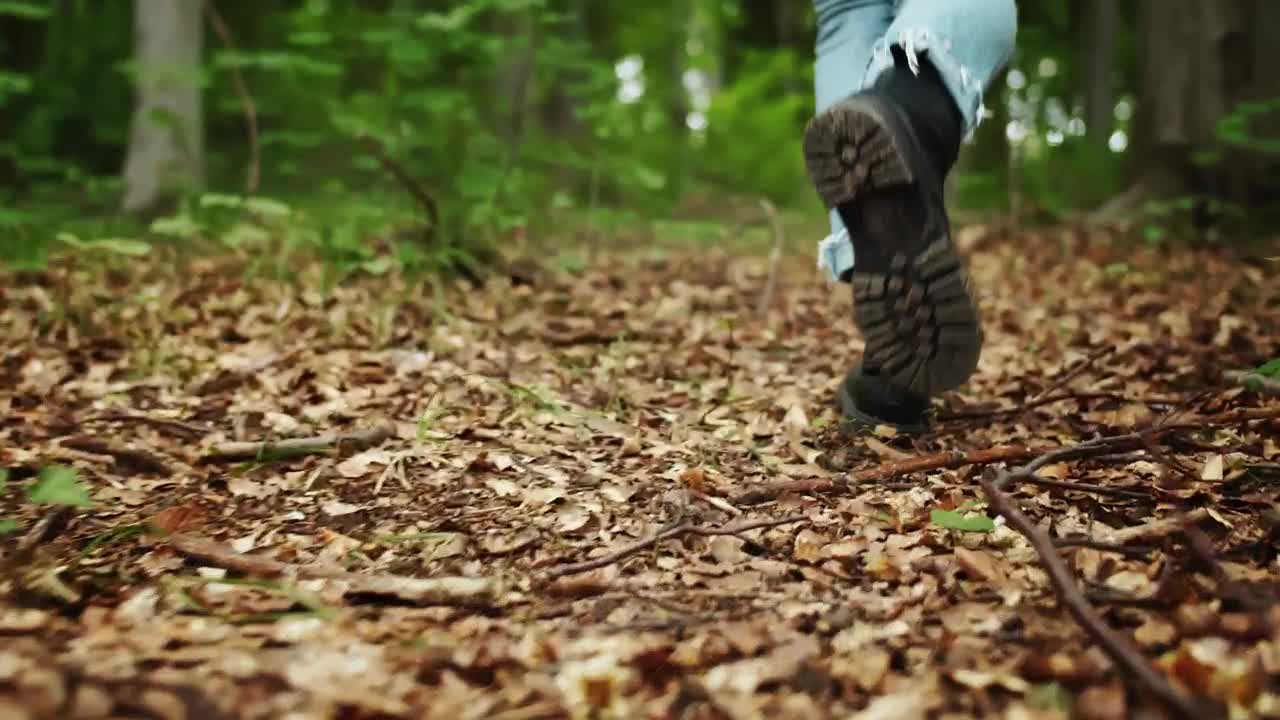 Stock Footage Womans Legs In Jeans Walk Through Forest Live Wallpaper Free