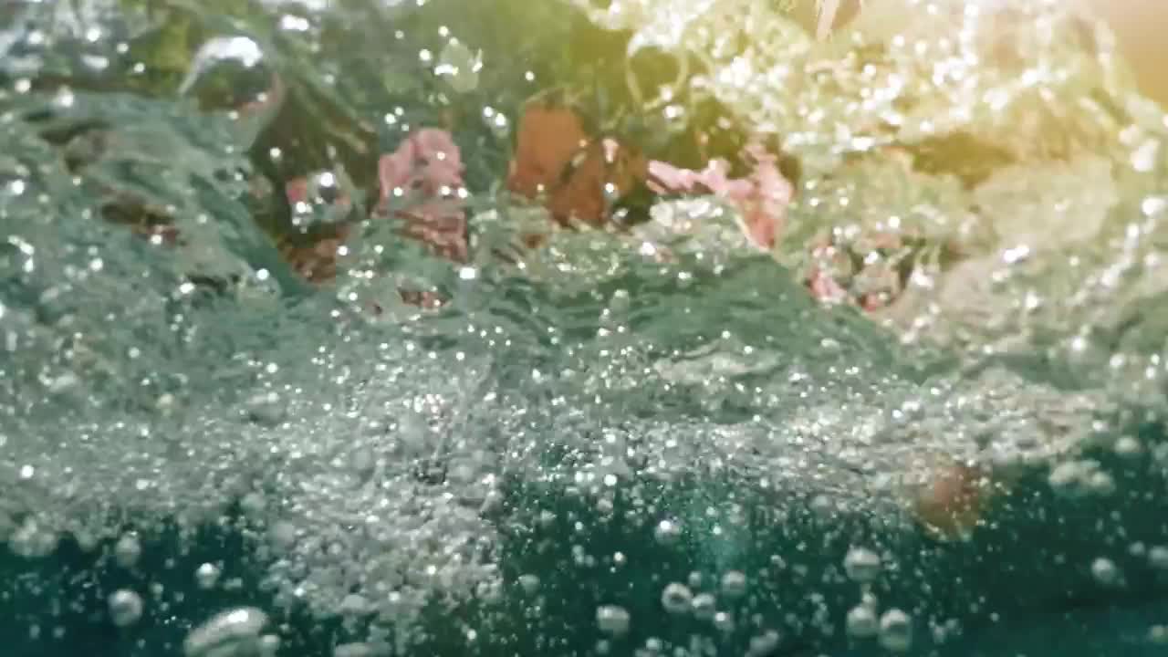 Stock Footage Young Woman Dives Into Pool In Donut Float Live Wallpaper Free