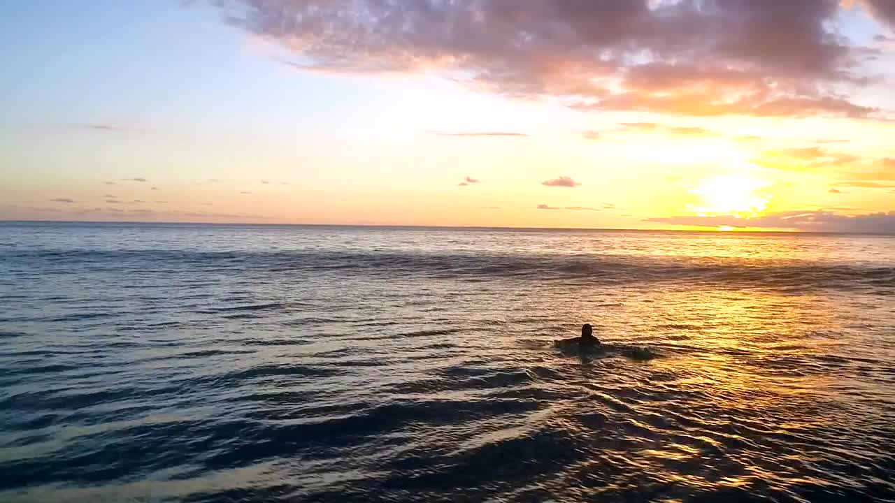 Stock Footage Woman Paddles Surfboard Into Sunset On Calm Sea Live Wallpaper Free