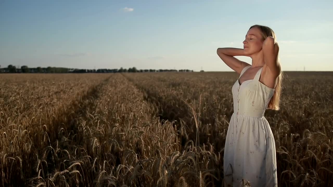 Stock Footage Young Woman Relaxing In A Field Live Wallpaper Free